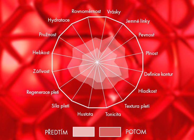 CS16 refresh vichy pages - CZ.jpg