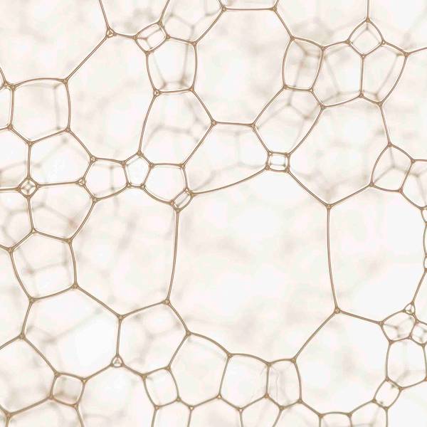 Nejlepší potraviny pro období menopauzy