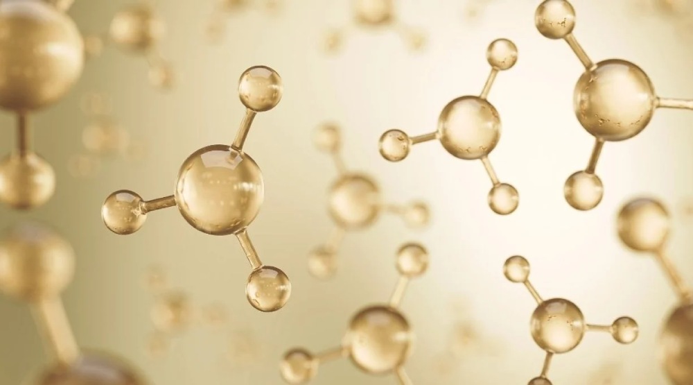 peptides-collagene-header (1).jpg